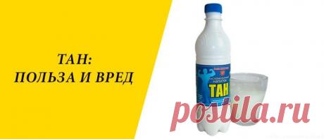 Тан: польза и вред для здоровья организма Тан: особенности и химическое содержимое, полезные качества для мужчин, женщин, детей и подростков, вред для здоровья организма.