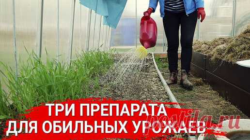 Три препарата для обильных урожаев | Садовый Клуб Наталии Петренко | Дзен