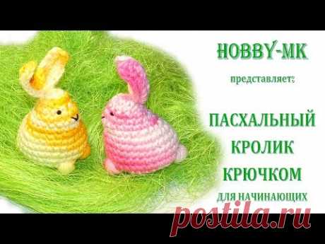 Кролик для начинающих