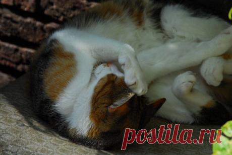 ((((Положительное Настроение))))
О л ь г а