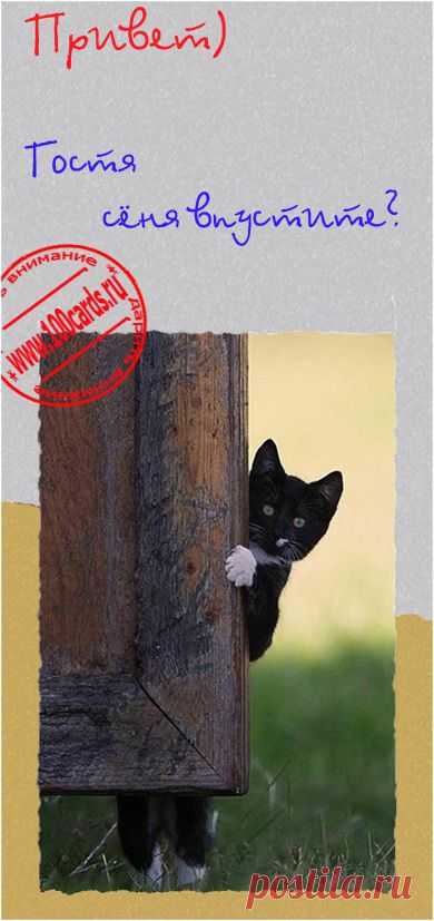 Прикольная открытка "Привет! Гостя сегодня впустите? "