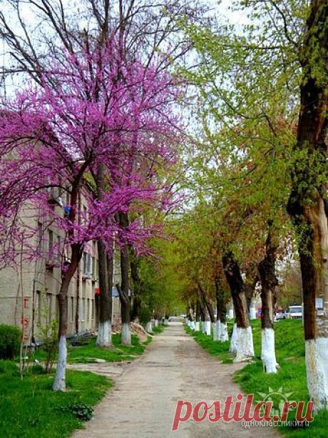 Сергей Кожевников
60 лет, Россия, г.Ликино-Дулево