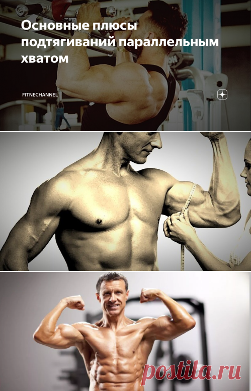 Основные плюсы подтягиваний параллельным хватом | fitnechannel | Яндекс Дзен