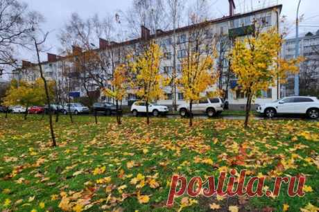 Ноябрь 2023 года назван самым теплым за всю историю наблюдений. Средняя температура в ноябре составляла 14,22 градуса тепла.