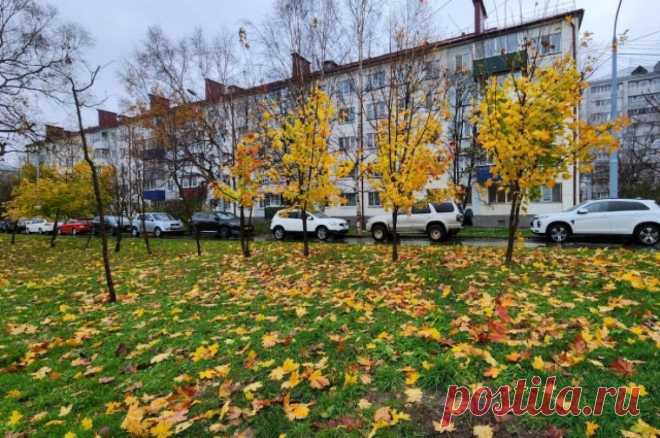 Ноябрь 2023 года назван самым теплым за всю историю наблюдений. Средняя температура в ноябре составляла 14,22 градуса тепла.