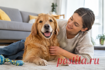 🐕❤️ Как помочь собаке прожить долгую и здоровую жизнь? Всё начинается с ежедневной заботы: правильного питания, активных прогулок, ухода за зубами и регулярных визитов к ветеринарному врачу.

Узнайте, какие привычки помогают сохранить здоровье питомца и на что важно обращать внимание с возрастом. 🐾

#Собаки #ЗдоровьеСобак #Ветеринария #УходЗаЖивотными 
Изображение от ChatGPT