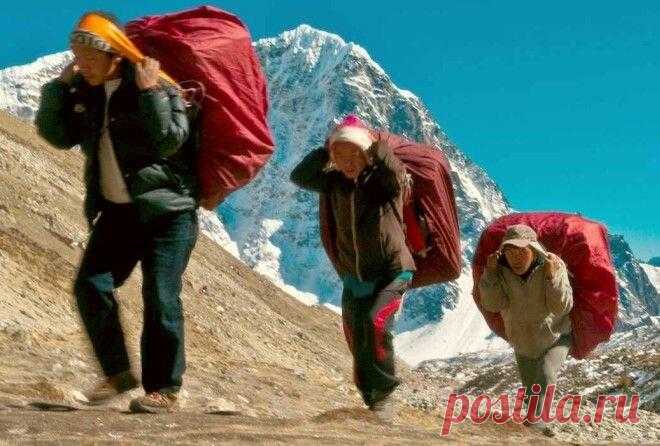 ШЕРПЫ: ТАЙНЫЕ ГЕРОИ ЭВЕРЕСТА
С подачи туристов слово «шерп» стало синонимом слов горный проводник или носильщик. На самом же деле это никакая не должность и не профессия, а народность, населяющая Восточный Непал. Горные обитатели невероятно выносливы, знают лучше, чем кто бы то ни было, высокогорную местность, обладают наследственной высотной адаптаций, и именно профессиональным альпинистам-шерпам принадлежит большинство рекордов по восхождению […]
Читай дальше на сайте. Жми подробнее ➡