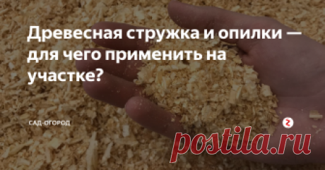 Древесная стружка и опилки — для чего применить на участке? Коротко о главных способах применения стружки, дёшево и очень удобно.