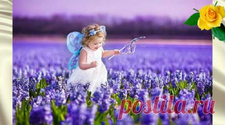 Радость жизни и удовольствие с энергетической точки зрения &amp;#8212; Калейдоскоп чудес