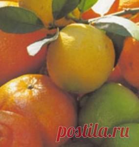 польза лимона | ЗДОРОВЫЙ ДОМ