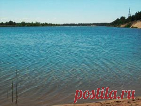 Рыбалка видео: Ловля карпа на карьерном озере