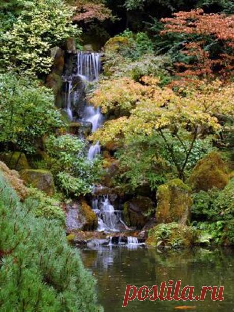 Сад для созерцания — 6 соток