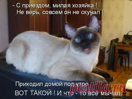 Картинки с надписью «С приездом!» (7 фото) ⭐ Забавник