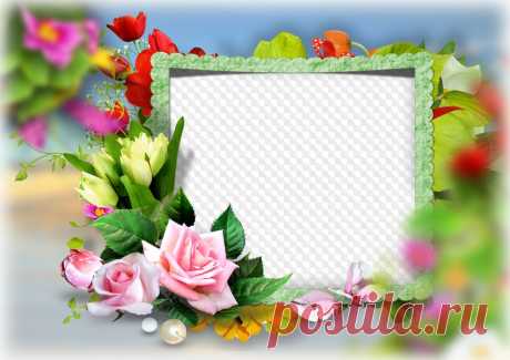 PSD, PNG, Marco de fotos, Rosas y tulipanes. Marco PNG transparente, plantilla de marco de fotos en capas PSD, descarga.