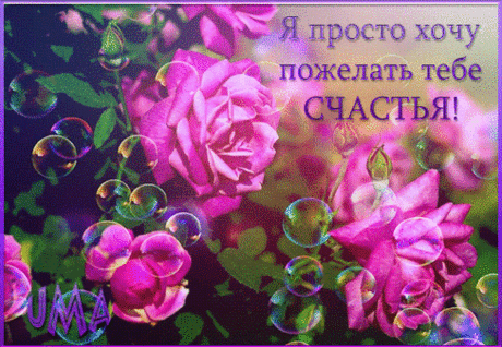 Ах, какая осень, ах, какая: вся из жёлтых листьев золотая ...