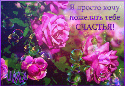 Ах, какая осень, ах, какая: вся из жёлтых листьев золотая ...