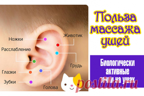 Польза массажа ушей. Биологически активные точки на ушах | Полезные советы