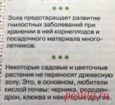 цветы и зола