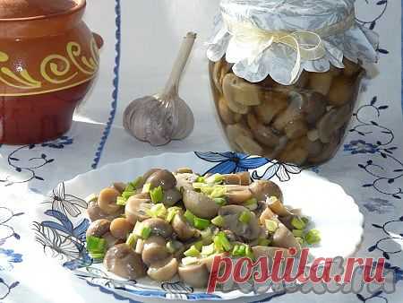 Маринованные шампиньоны за 3 часа (рецепт с фото) | RUtxt.ru