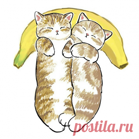 Картинки для срисовки котики в костюмах (36 шт)