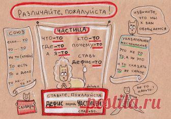 Эти котики научат тебя писать без ошибок! Так правила русского языка ты точно еще не учил… Уставшая от беспросветной неграмотности своих учеников Анна Беловицкая решила сделать шаг в сторону популяризации правописания. Вот что придумала изобретательная учительница — на милых...