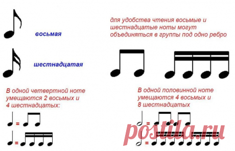 Длительности нот в картинках для детей (43 фото) ⭐ Забавник