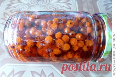 Красная рябина в сиропе на зиму. Пошаговый рецепт с фото