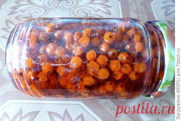 Красная рябина в сиропе на зиму. Пошаговый рецепт с фото