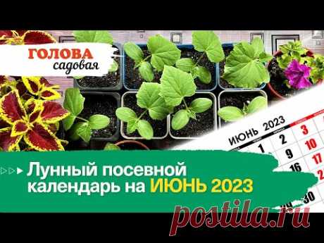Голова садовая - Лунный посевной календарь на ИЮНЬ 2023