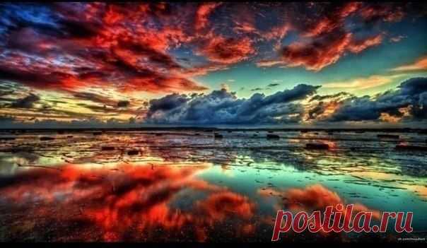 Убираем шрамы  / Понимание бизнеса