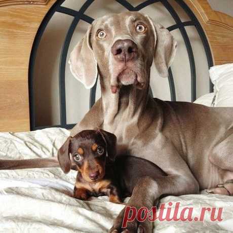 Это мой ребенок