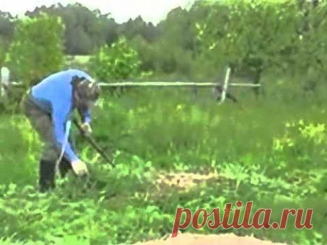 ▶ Мульча для чего нужна. - YouTube