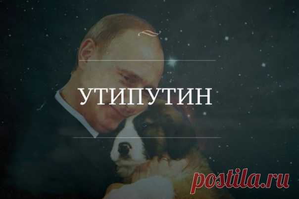 Уморительные цитаты дня / Писец - приколы интернета