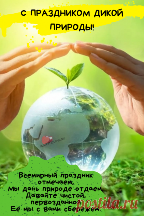С днем дикой природы
Я вас поздравляю,
Всем миром природу
Беречь призываю.