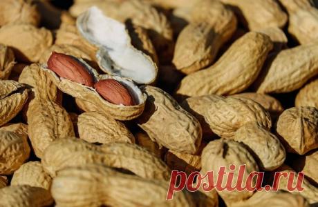 Выращиваем арахис на своем огороде | Русский Сад | Яндекс Дзен