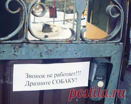 20 жизненных объявлений
