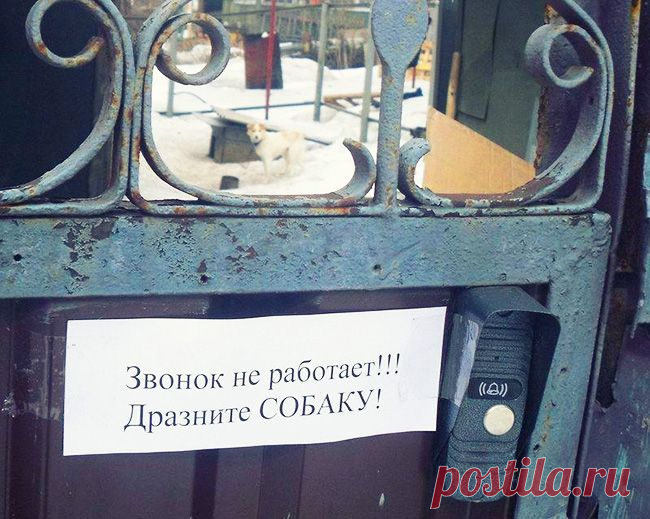 20 жизненных объявлений
