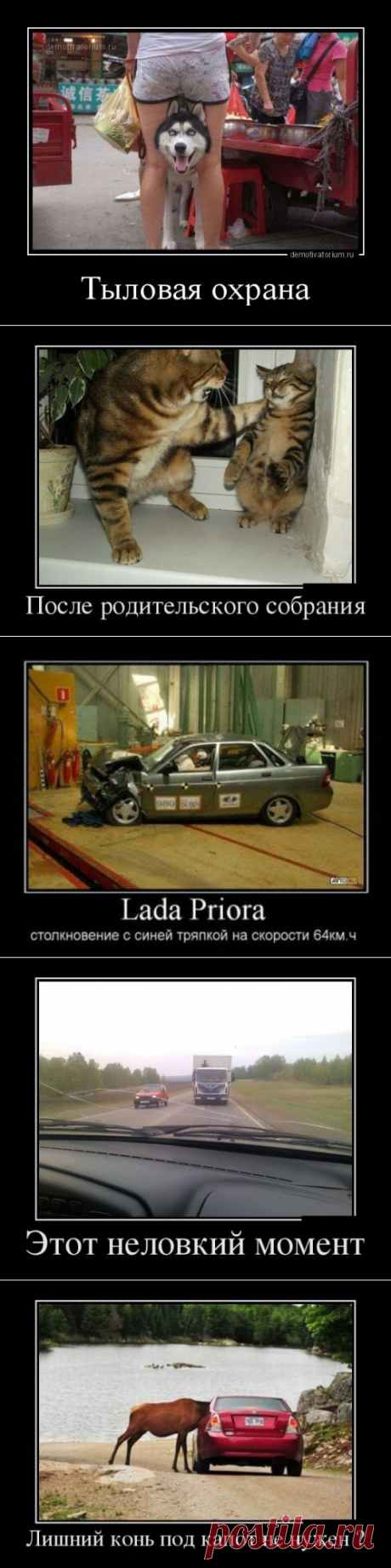 Ещё немного прикольных демотиваторов / Приколы