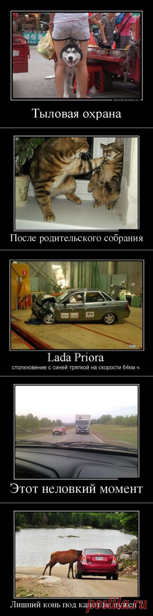 Ещё немного прикольных демотиваторов / Приколы