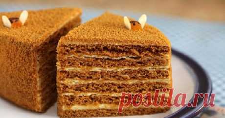 Лучшее тесто для «Медовика»: рецепт для ленивых