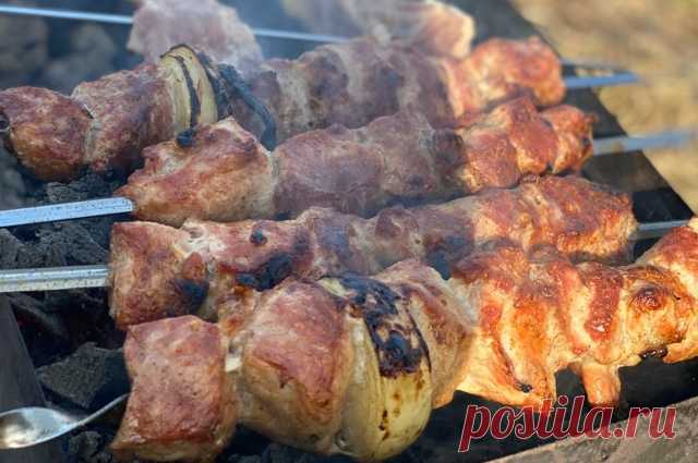 Шашлыки и не только. Проверенные рецепты мясных блюд для пикника | Продукты и напитки | Кухня | Аргументы и Факты