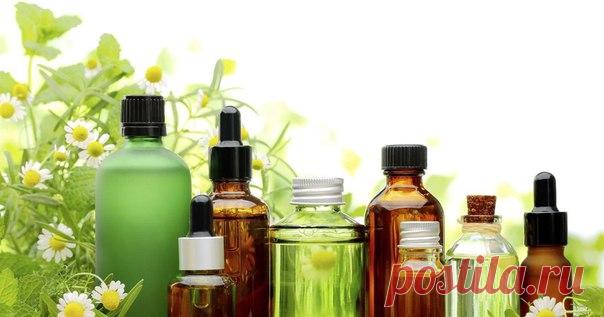 Идеи для сада | дача | ландшафт| огород