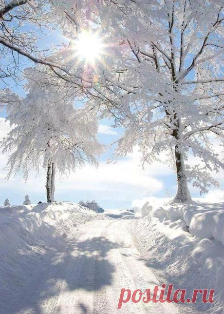 Фото – Google+