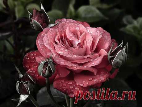 ᴼᴿᴵᴳᴵᴺᴬᴸ   SМАЙЛИКИ   (ړײ)