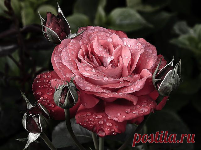 ᴼᴿᴵᴳᴵᴺᴬᴸ   SМАЙЛИКИ   (ړײ)