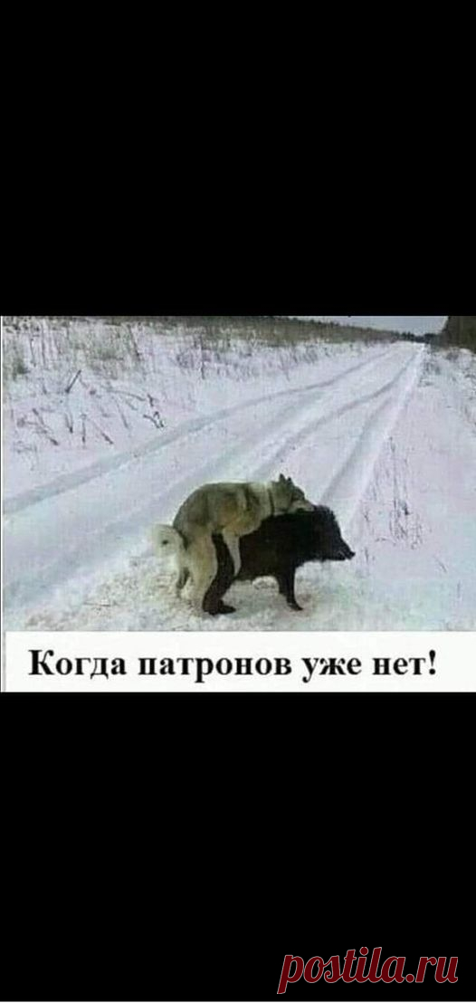 (20+) Facebook