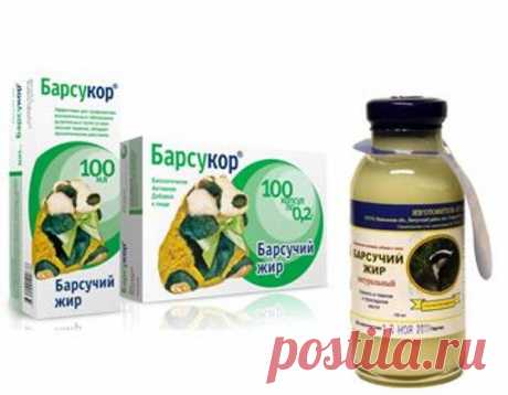 Как принимать барсучий жир при кашле - Будь в форме!
                                             - 5 февраля
                                             - 43308029273 - Медиаплатформа МирТесен Жир, добытый из пойманного в предзимний период барсука, обладает особенно ценным биологически активным составом, который известен народной медицине наших краев уже более двух столетий. Вещество наделяют способностями защищать от рака и атеросклероза, улучшать работу сердца и желудк...
