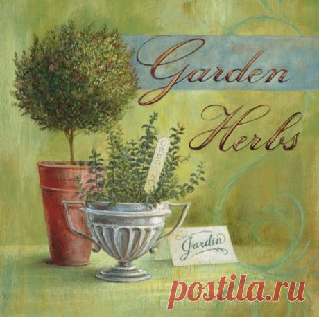 superbes illustr de angela staehling