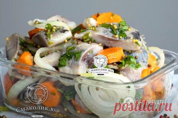 Маринованная сельдь с овощами - рецепт приготовления с фото и видео Пошаговый рецепт приготовления блюда Маринованная сельдь с овощами. Описание рецепта, список необходимых ингредиентов, рекомендации по приготовления и отзывы.