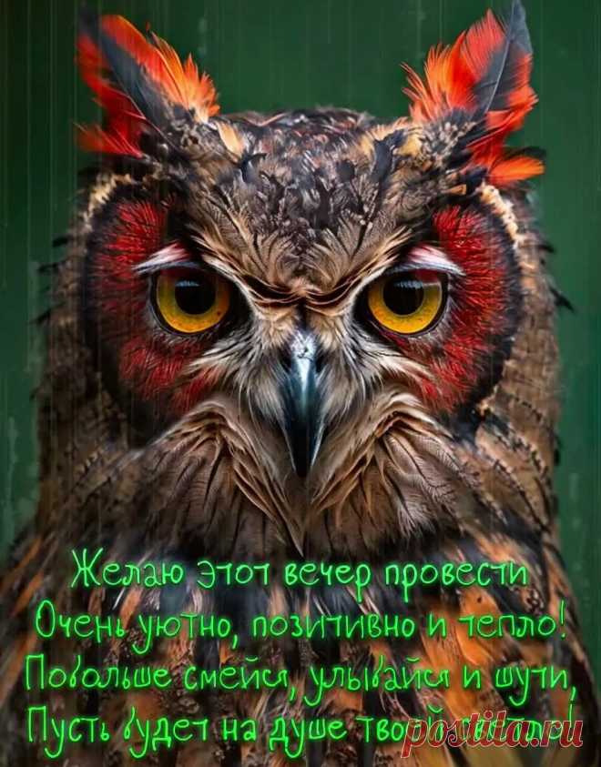 Картинка доброго вечера красивая с пожеланием и совой